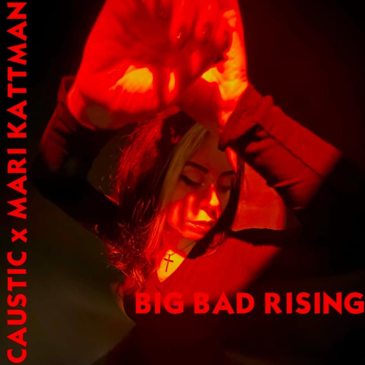 Cover of Big Bad Rising