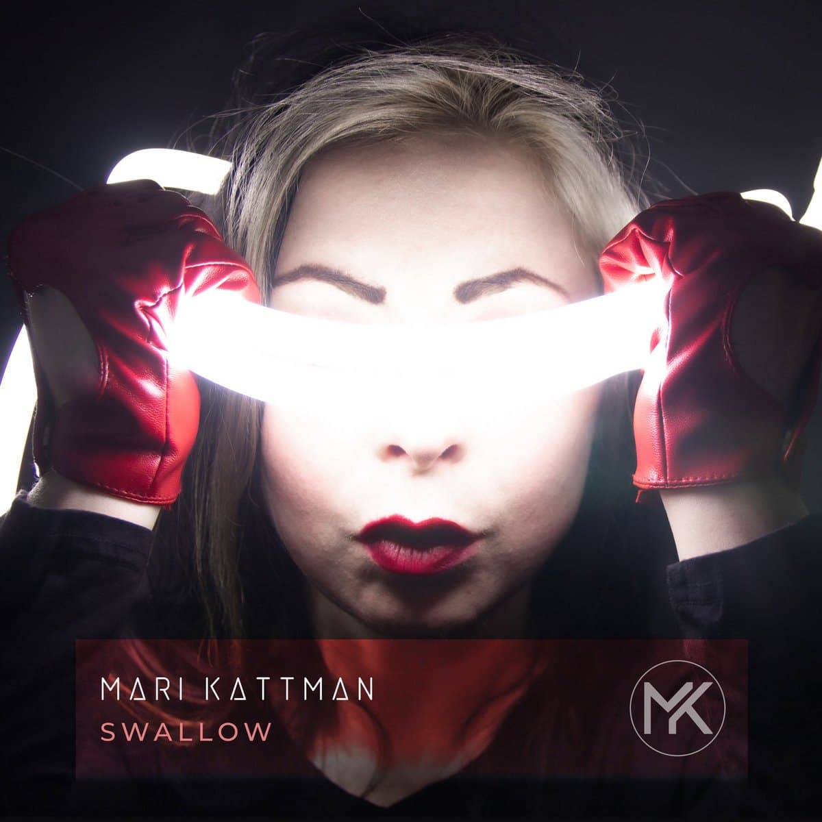 Cover of Swallow